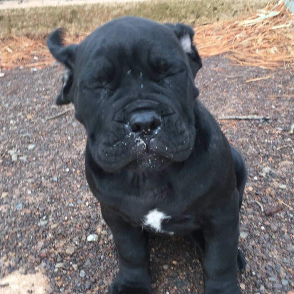 Meet your Posher, Belinda